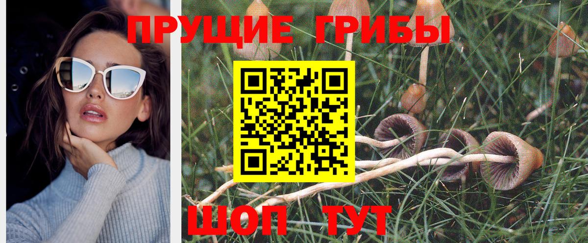 Псилоцибиновые грибы Magic Shrooms  Псилоцибиновые грибы ЛСД  Котельники  Вход с VPN 