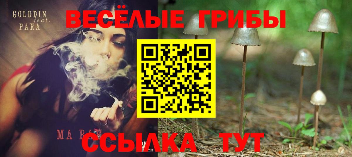 Псилоцибиновые грибы Magic Shrooms Котельники